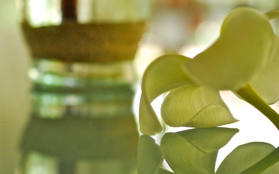 Kupu Kupu Barong, Ubud, Bali