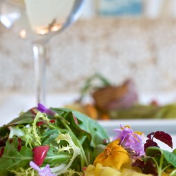 Quinta_Do_Lago_DSC1325